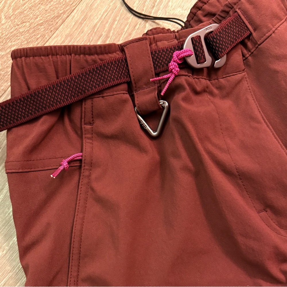 Nike ACG Smith Summit Cargo Pants Women’s Small Burgundy Red - Picture 2 of 10